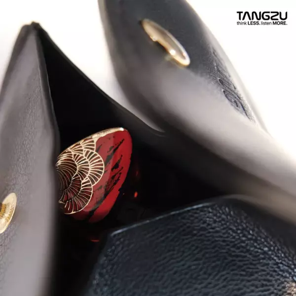 Tangzu x HBB Xuan Nv IEM Earphones