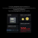 Roseselsa RS9039 Portable DAC-Amplifier