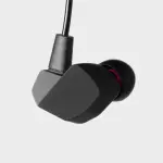 Final A3000 IEM Earphones