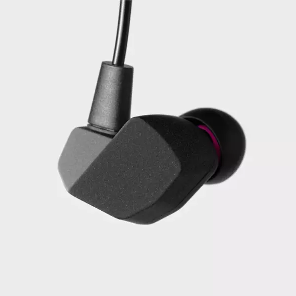 Final A3000 IEM Earphones