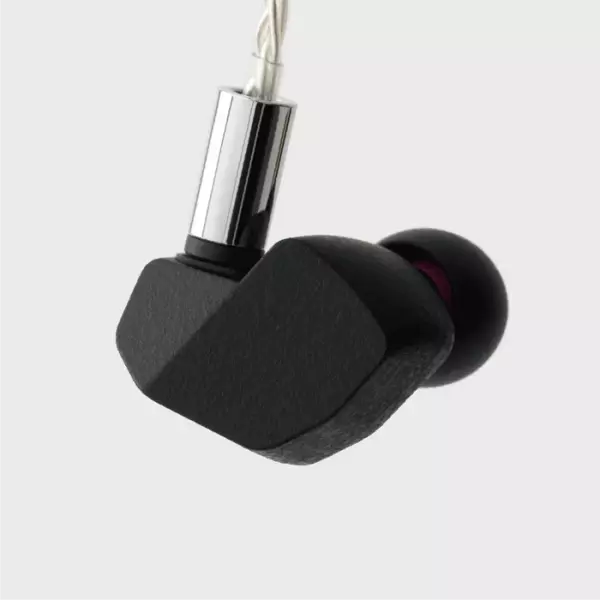 Final A5000 IEM Earphones