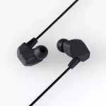 Final A3000 IEM Earphones