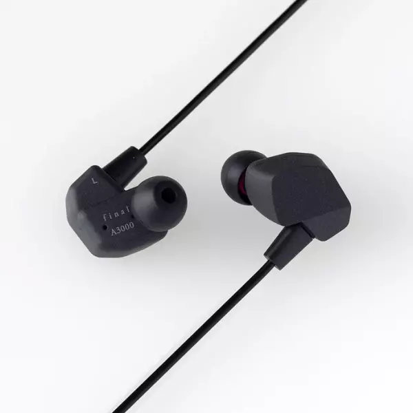 Final A3000 IEM Earphones