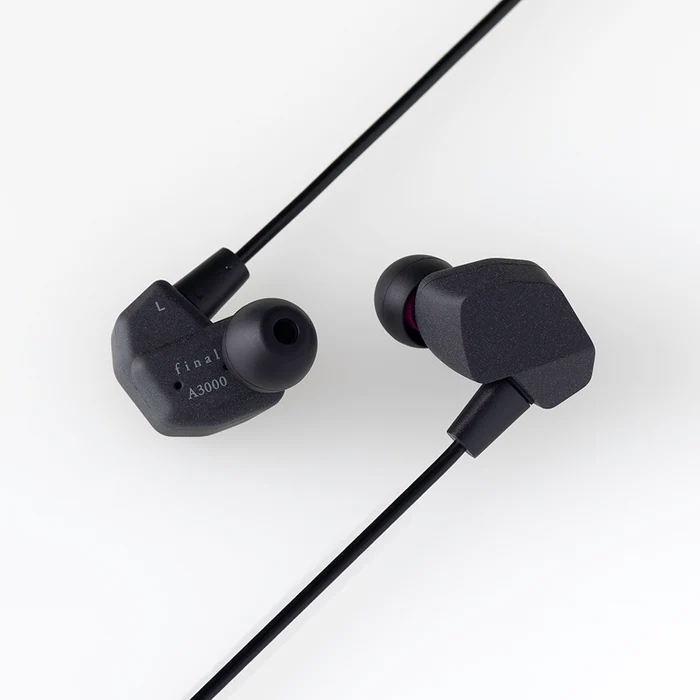 Final A3000 IEM Earphones