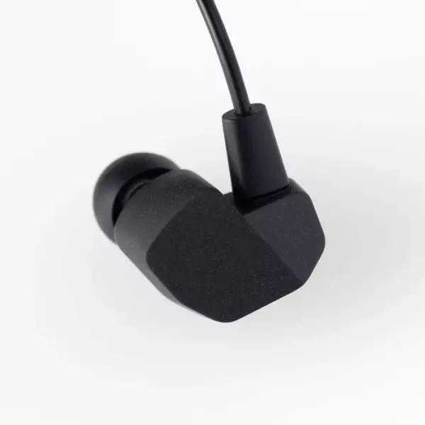 Final A3000 IEM Earphones