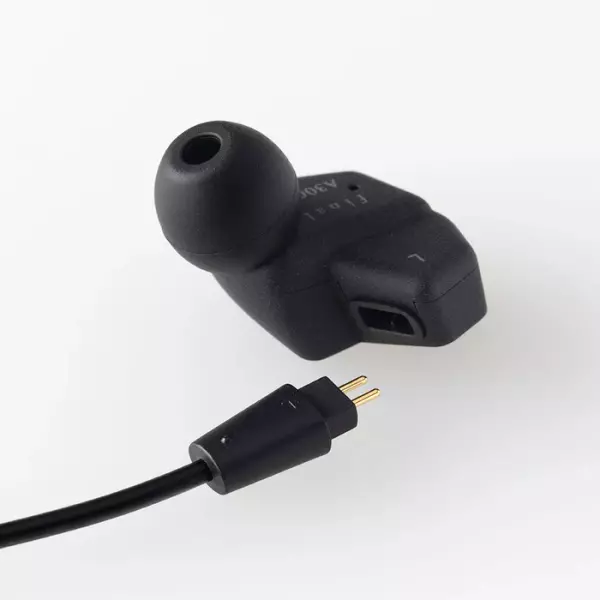 Final A3000 IEM Earphones