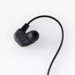 Final A3000 IEM Earphones