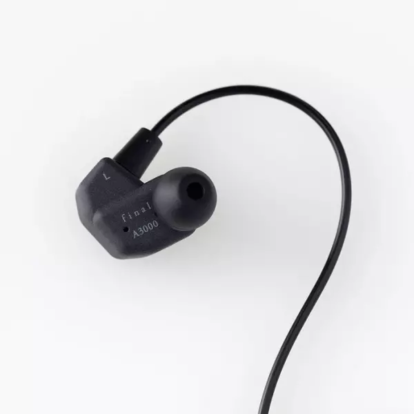 Final A3000 IEM Earphones