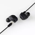 Final A3000 IEM Earphones