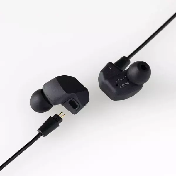 Final A3000 IEM Earphones