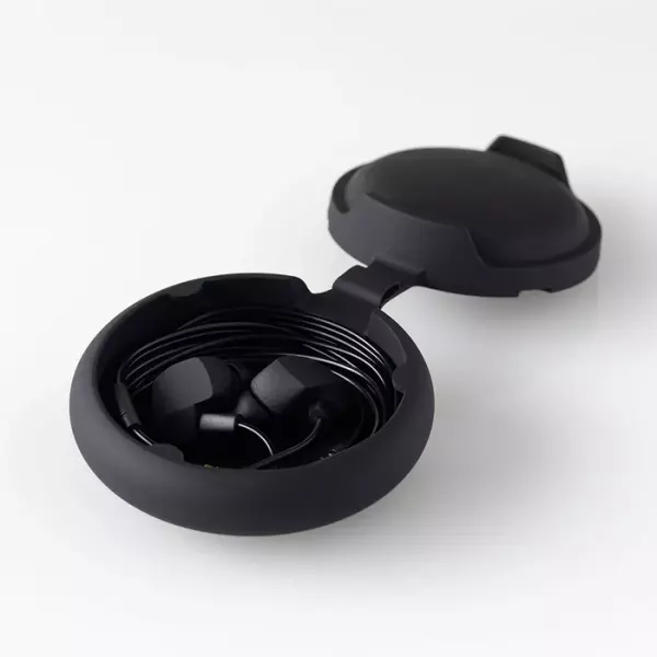 Final A3000 IEM Earphones