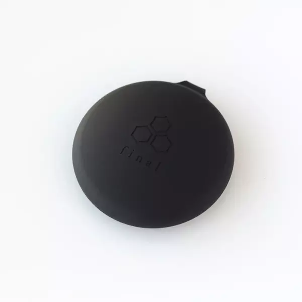 Final A3000 IEM Earphones