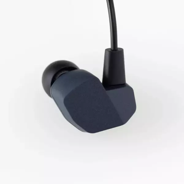 Final A4000 IEM Earphones