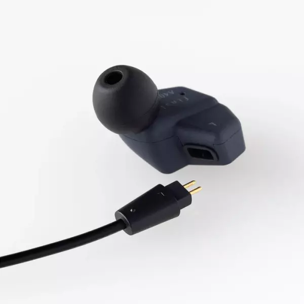 Final A4000 IEM Earphones