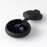 Final A4000 IEM Earphones