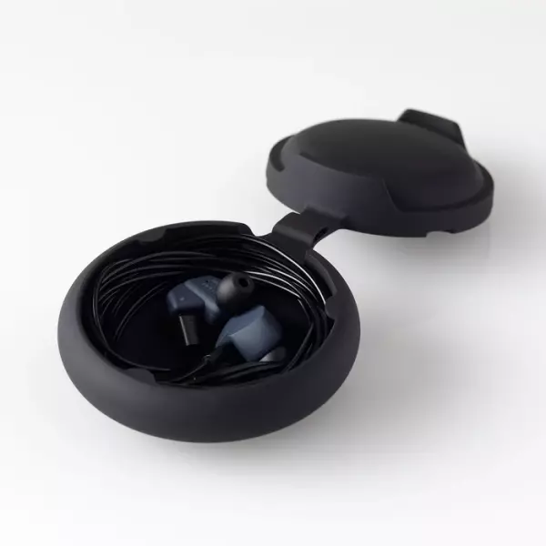 Final A4000 IEM Earphones