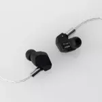 Final A5000 IEM Earphones