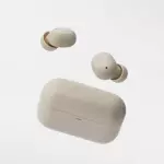 Final ZE500 for ASMR TWS Earphones