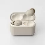 Final ZE500 for ASMR TWS Earphones