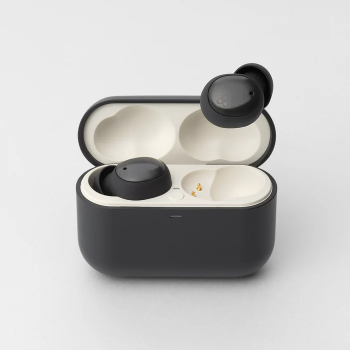 Final ZE500 for ASMR TWS Earphones