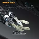 Roseselsa x AAV CJ20 IEM Earphones