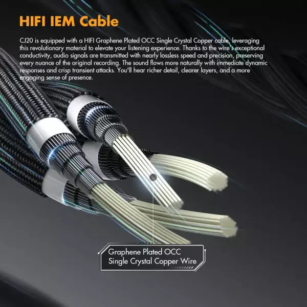 Roseselsa x AAV CJ20 IEM Earphones
