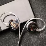 Kiwi Ears x Crinacle: Singolo IEM Earphones