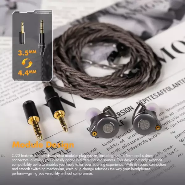 Roseselsa x AAV CJ20 IEM Earphones