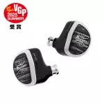 Kiwi Ears Aether IEM Earphones