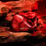 Aful Dawn-X IEM Earphones