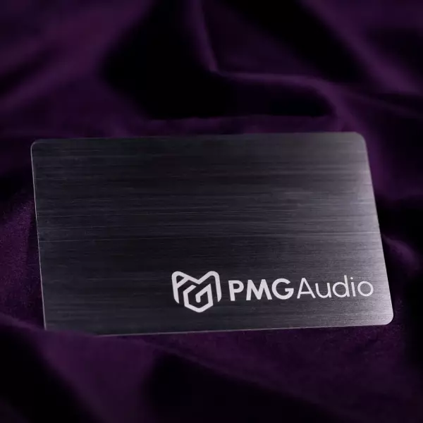 PMG Audio Apx ME IEM Earphones