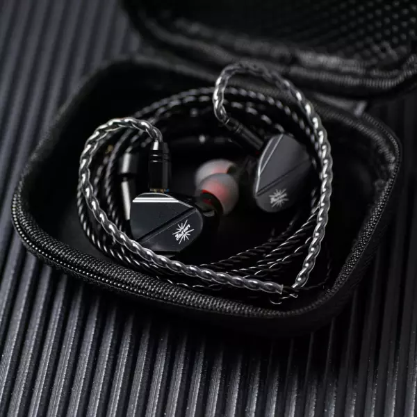 Kiwi Ears Canta IEM Earphones