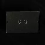 CrinEar Daybreak IEM Earphones