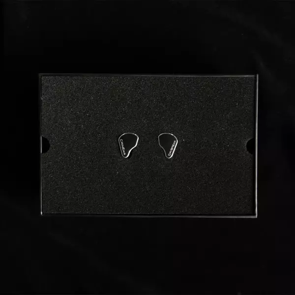 CrinEar Daybreak IEM Earphones