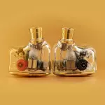 Elysian Annihilator 2026 IEM Earphones