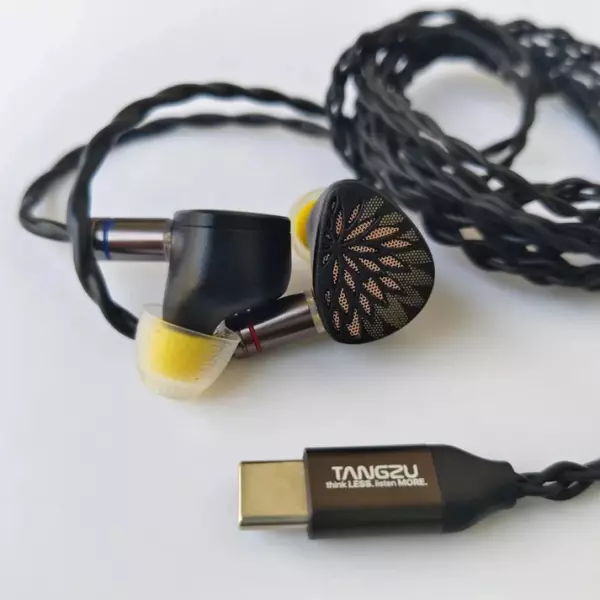 Tangzu Yu Xuanji IEM Earphones
