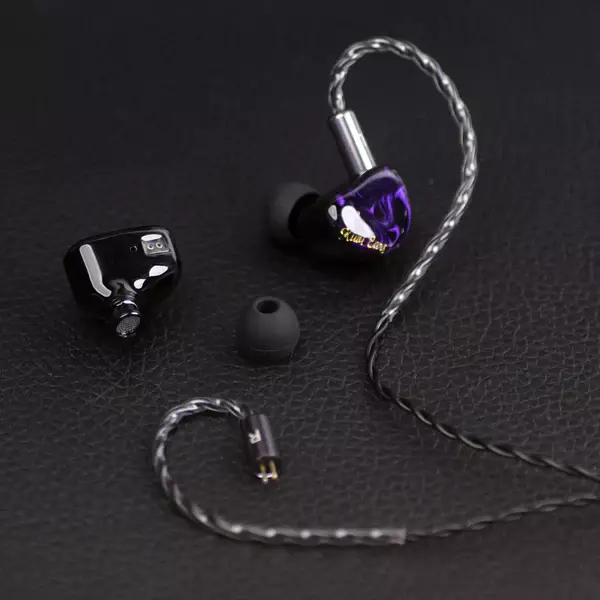 Kiwi Ears Cadenza IEM Earphones