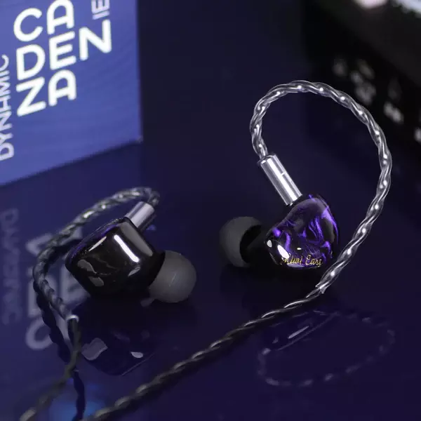 Kiwi Ears Cadenza IEM Earphones