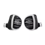 Kiwi Ears Aether IEM Earphones