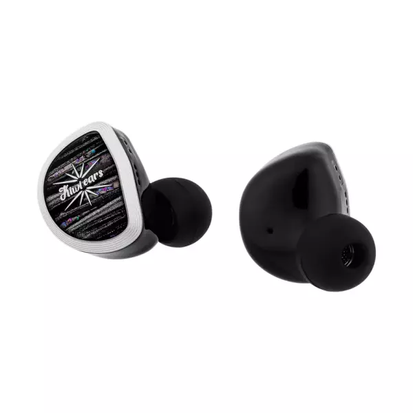 Kiwi Ears Aether IEM Earphones