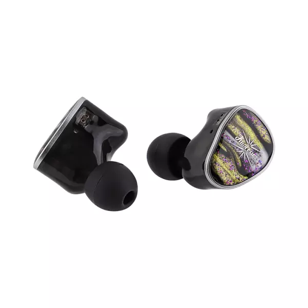 Kiwi Ears Étude IEM Earphones