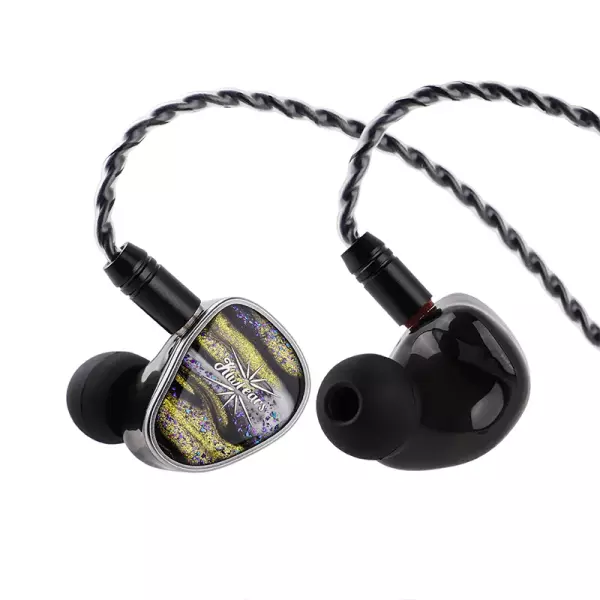Kiwi Ears Étude IEM Earphones