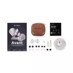 Linsoul Avant IEM Earphones