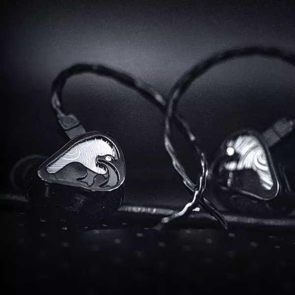 Letshuoer Mystic 8 IEM Earphones