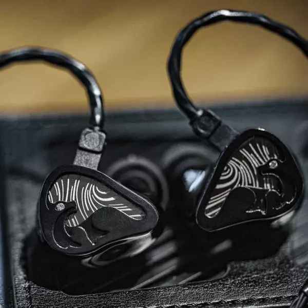 Letshuoer Mystic 8 IEM Earphones
