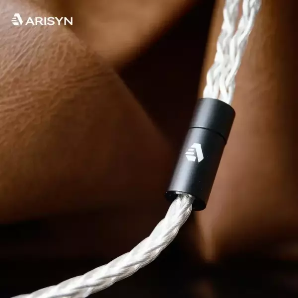 Arisyn Bai Yong IEM Earphones