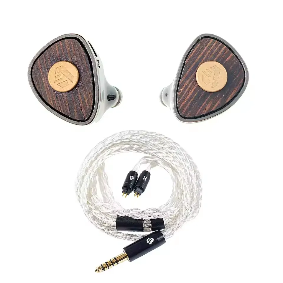 Arisyn Bai Yong IEM Earphones
