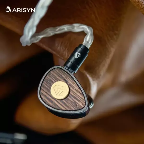 Arisyn Bai Yong IEM Earphones