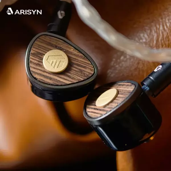 Arisyn Bai Yong IEM Earphones