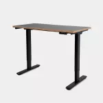 Epione SmartDesk Lite 2.0 Standing Desk
